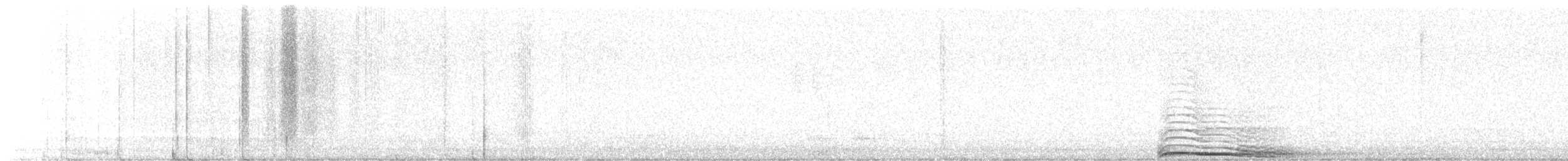 Chouette rayée - ML619981392
