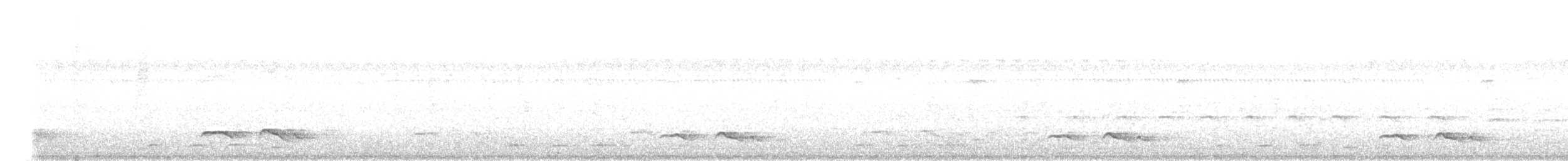 Зозуля білогорла - ML619981952