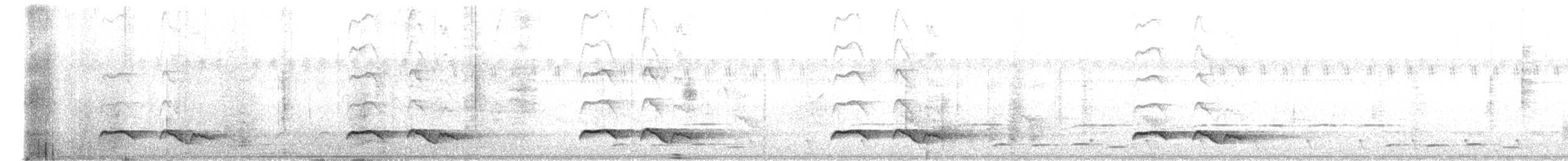 Зозуля білогорла - ML619982327