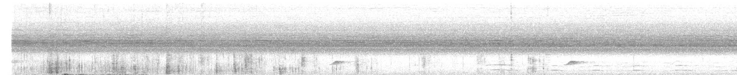 Белобрюхий дронго - ML619982516