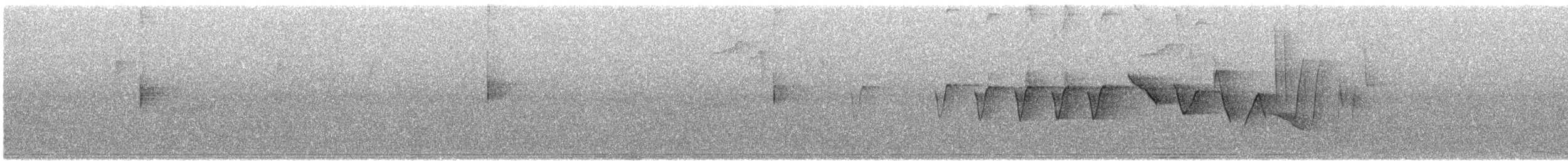 Трясогузковый певун - ML619982679