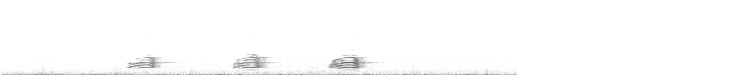 vrána/krkavec sp. - ML619982712