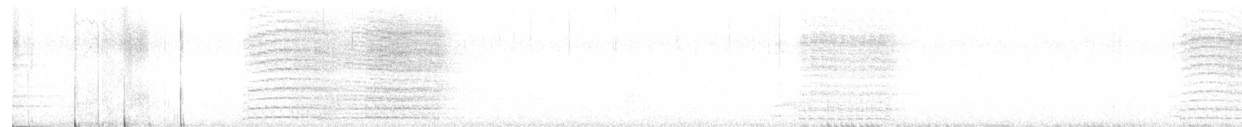 Conure magellanique - ML619983363