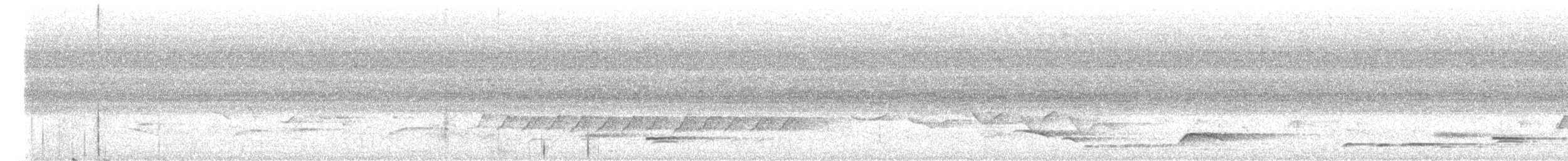 Чернокрылый личинкоед-свистун - ML619983514