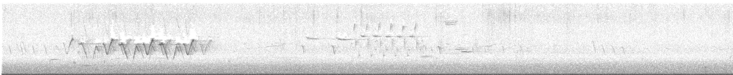 nordgulstrupe - ML619983780