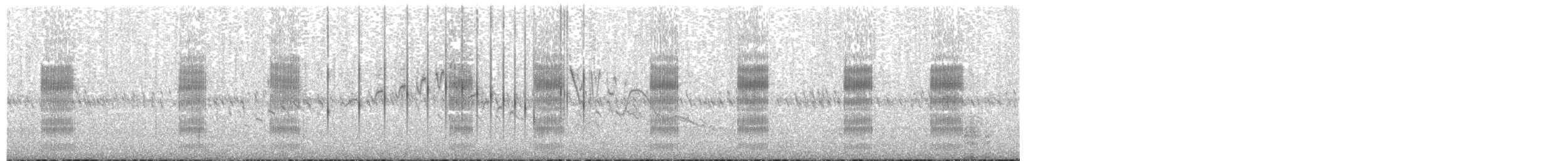 Croccolone - ML619983994