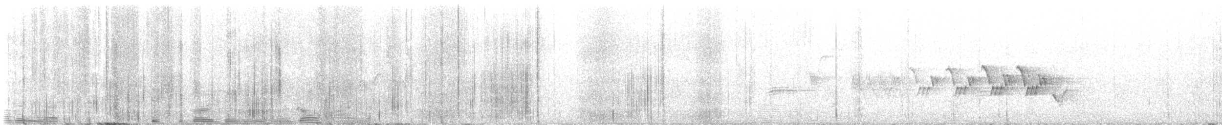 svartbrystparula - ML619984059