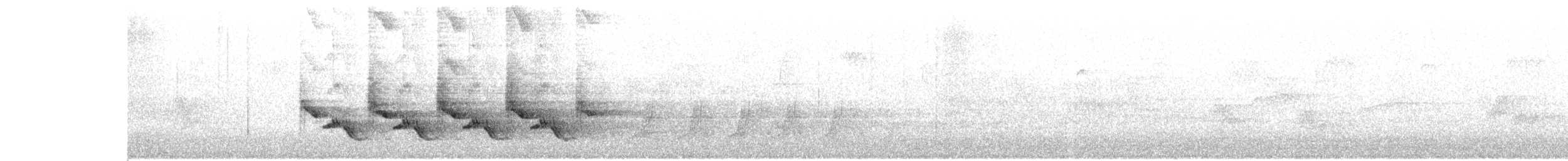 Поплітник каролінський - ML619984174