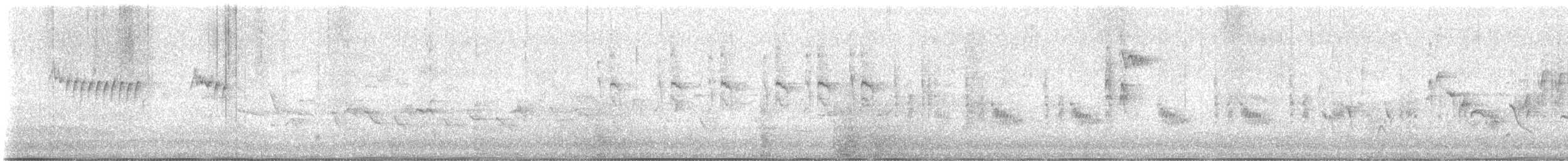 Sasi-txori arrunta - ML619984414