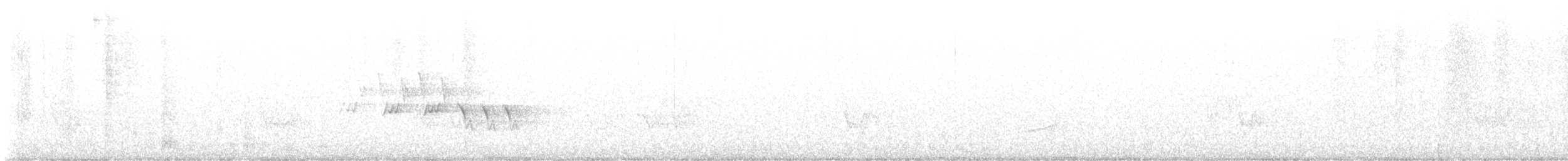 Черногорлая хвойница - ML619984665