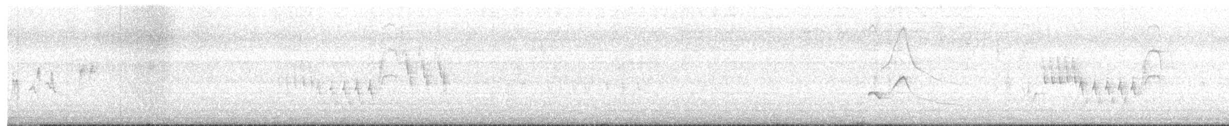 Northern House Wren - ML619984771