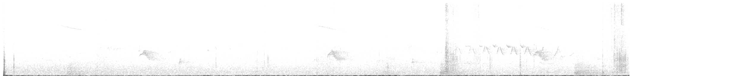 Дрізд-короткодзьоб канадський - ML619986140