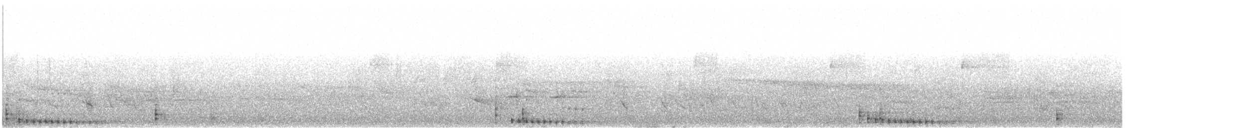 Cormoran à aigrettes - ML619987757