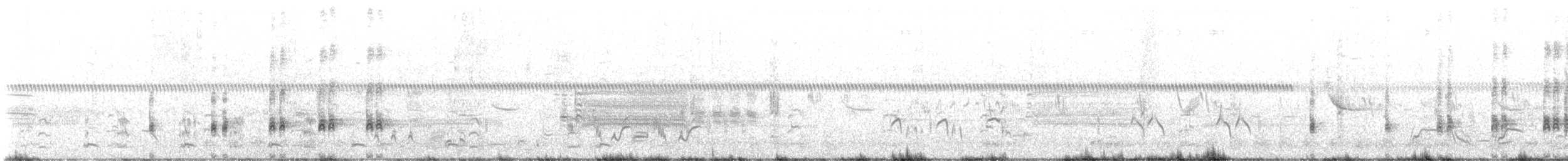 tanımsız Charadriiformes sp. - ML619987829