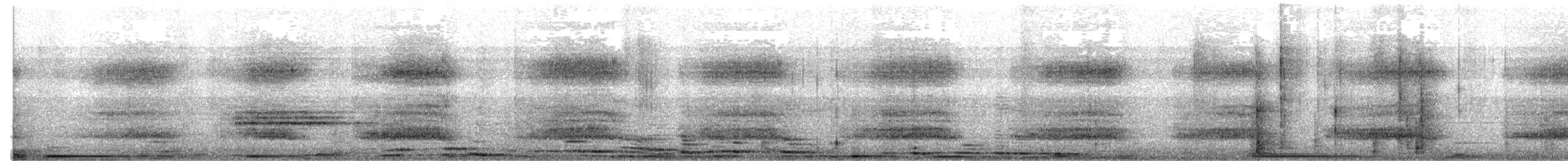 Eastern Barn Owl - ML619988172