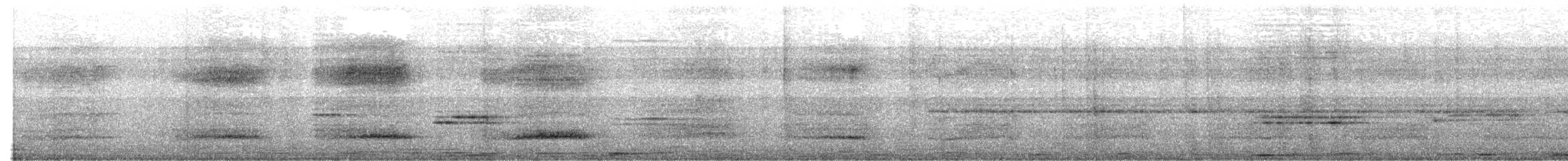 Eastern Barn Owl - ML619988189