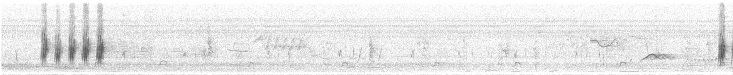 Североамериканская ласточка [группа serripennis] - ML619989042