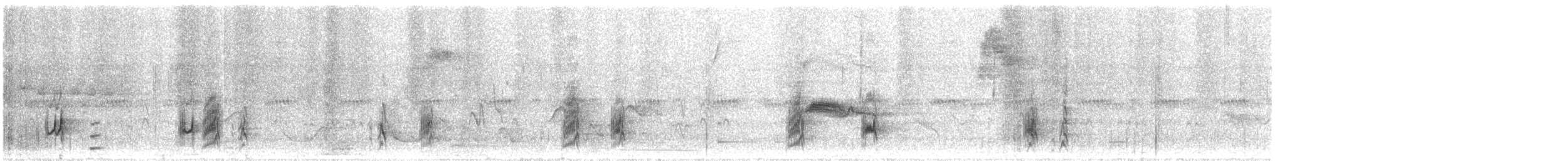 mestistyrann - ML619989062