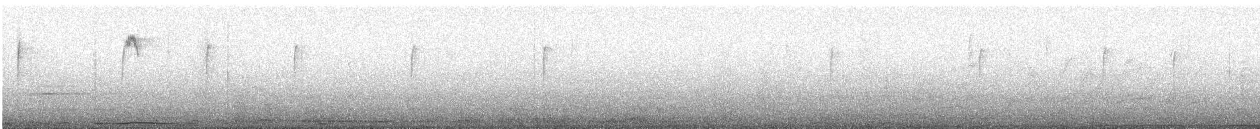 holub bledočelý - ML619989529