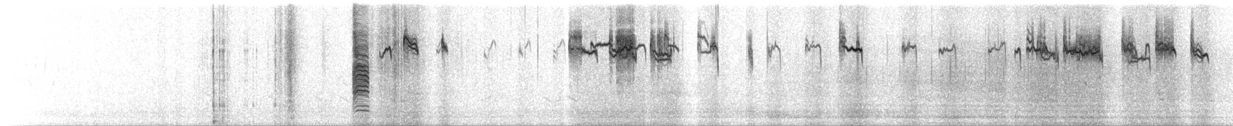 Carbonero Cabecinegro - ML619989821