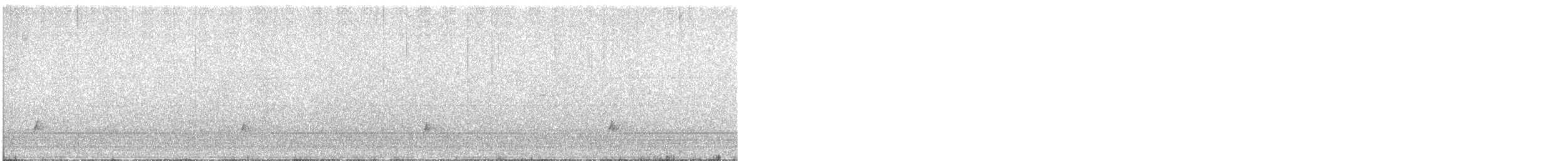 Дрізд-короткодзьоб Cвенсона - ML619990542