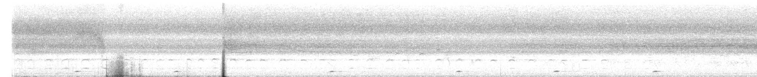 barbet zvučnohlasý - ML619990894