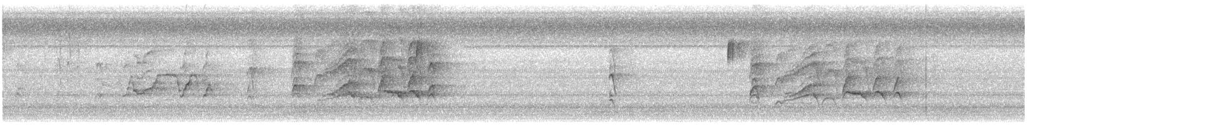 Kara Karınlı Islıkçı Ördek - ML619991476