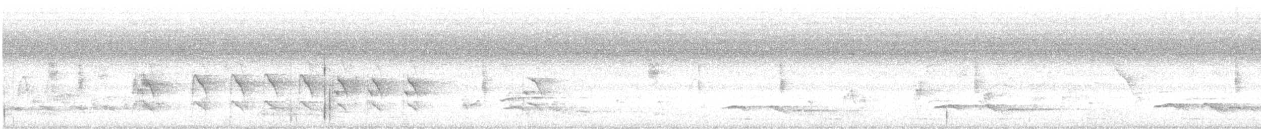 halsbåndparakitt - ML619991675