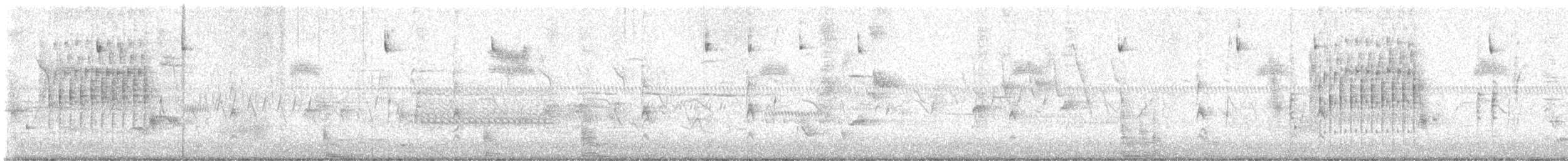 Troglodyte des marais - ML619991693