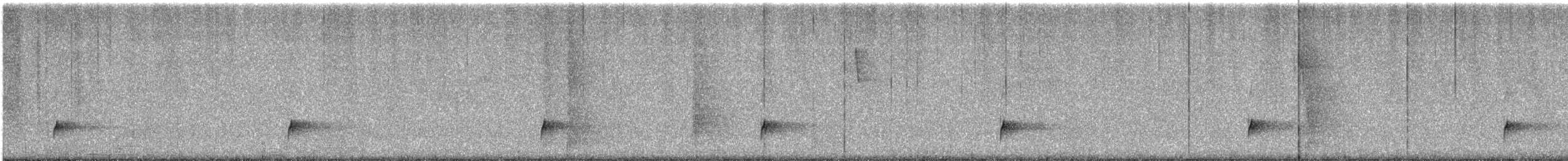 Дрізд-короткодзьоб Cвенсона - ML619991962