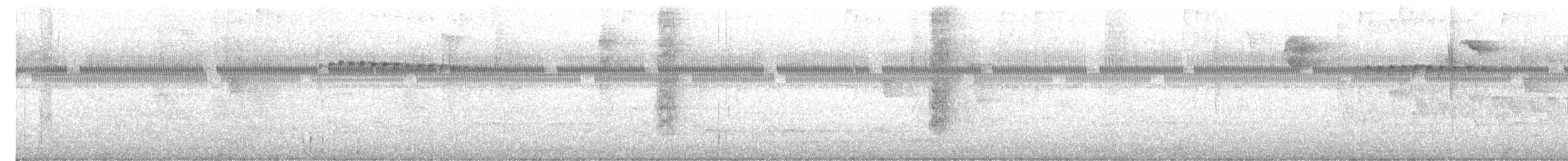 オウム目（インコ科 大きな種） - ML619993152