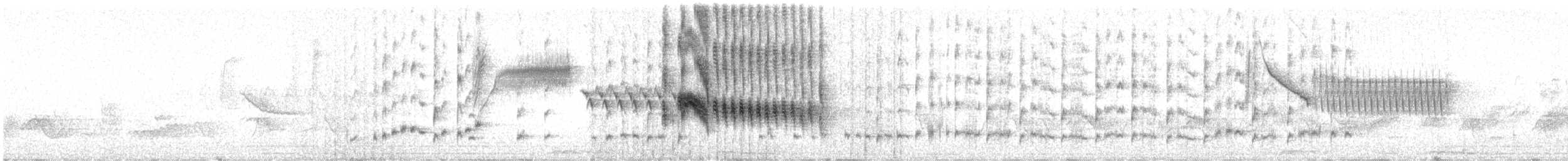 Dickschnabel-Königstyrann - ML619993193