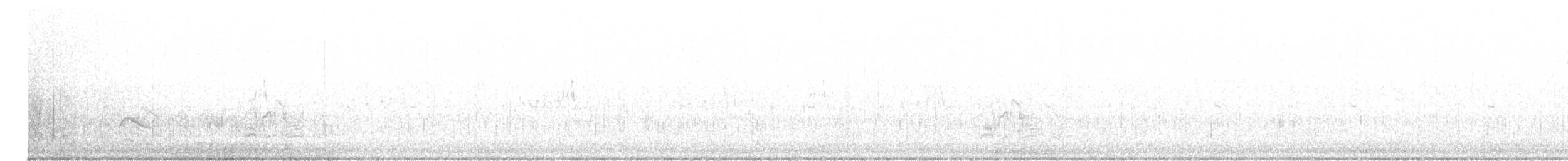 Серогрудый тиранн - ML619993457