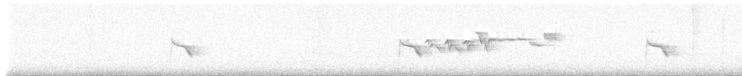 Дрізд-короткодзьоб канадський - ML619993876