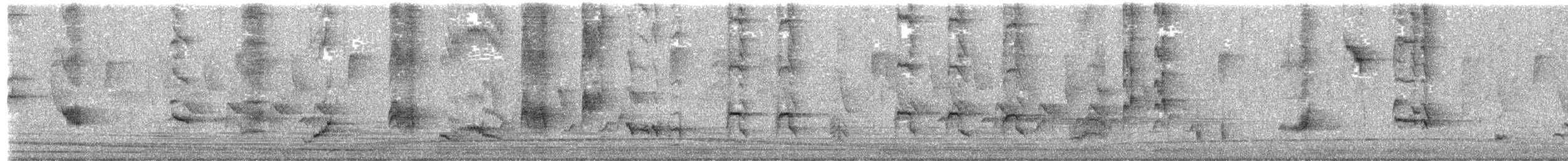 Langschnabel-Spottdrossel - ML619993882