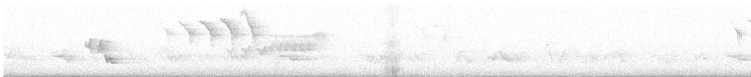 Cerulean Warbler - ML619993960