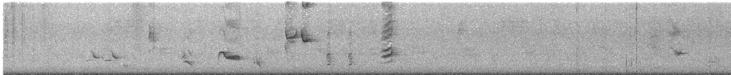 Langschnabel-Spottdrossel - ML619993985