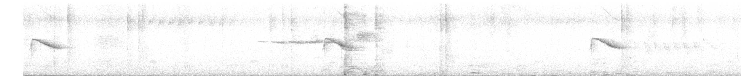 Дрізд-короткодзьоб канадський - ML619994388
