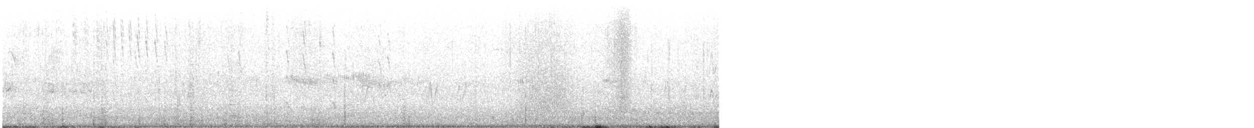 Colibri à gorge noire - ML619997577