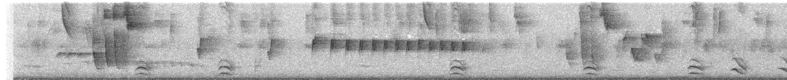 Weißbart-Ameisenwürger - ML619998472