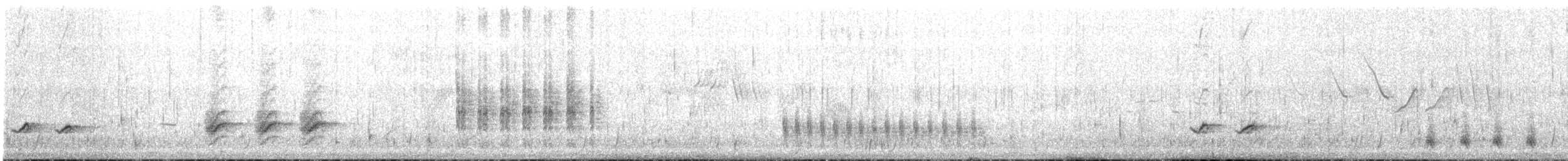 Ictérie polyglotte - ML620000091