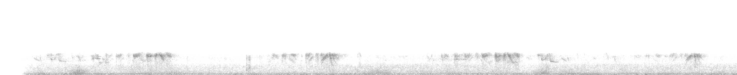 Viréo de Bell - ML620000379