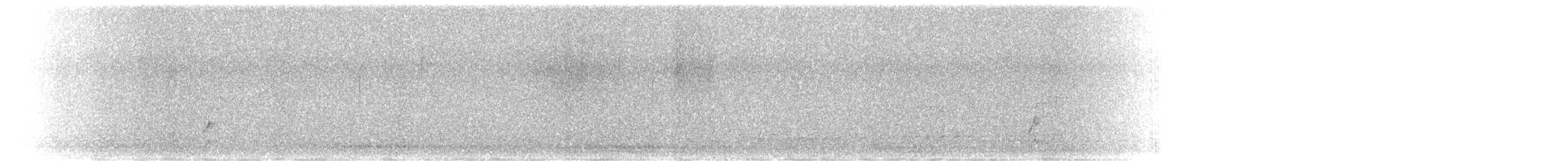 斑胸秧雞 - ML620000695