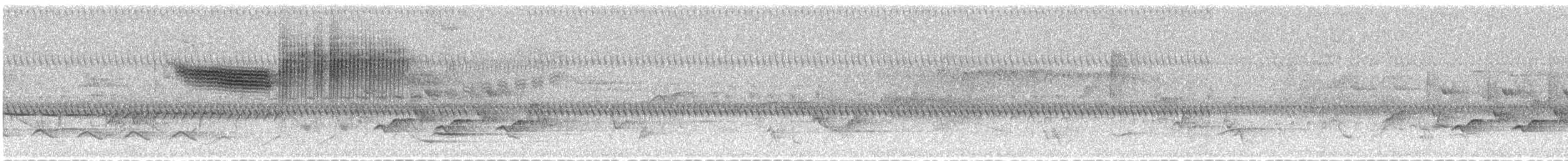 Голубокрылая червеедка - ML620002836