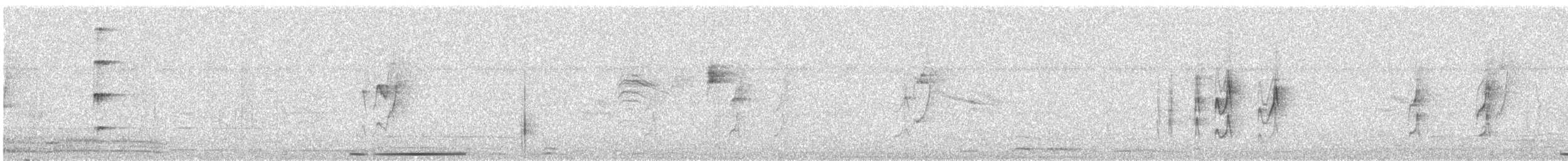 holub bledočelý - ML620003513