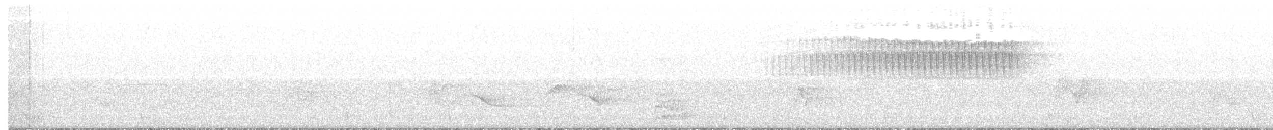 Paruline vermivore - ML620006035