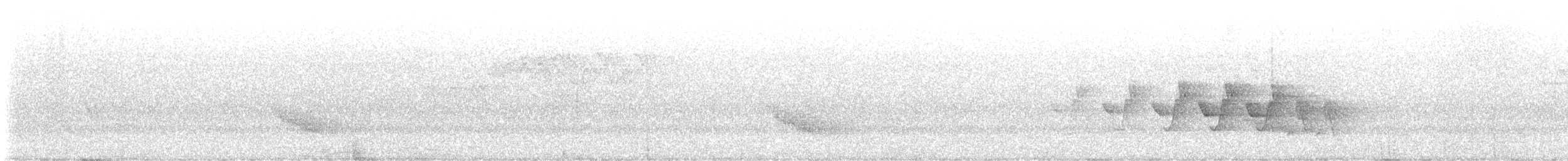 svartbrystparula - ML620006306