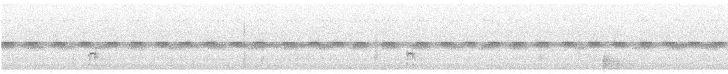 tanımsız Charadriiformes sp. - ML620007549