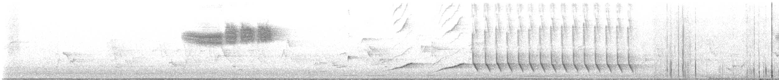 雑種 キンバネアメリカムシクイ ｘ アオバネアメリカムシクイ（F1雑種） - ML620007609