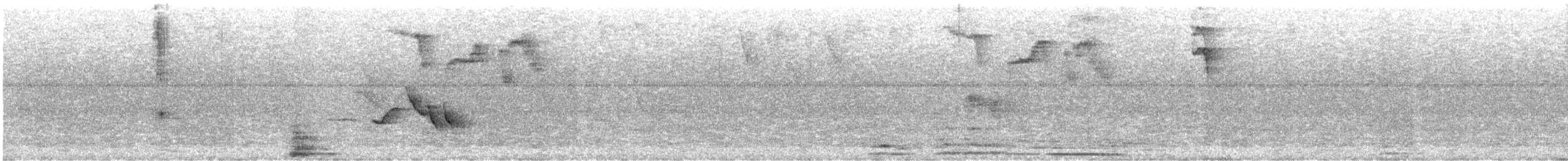 Поплітник плямистоволий - ML620008715